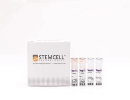 EasySep™ Human Naïve CD8+ T Cell Enrichment Kit - STEMCELL Technologies Inc. - Life Sciences