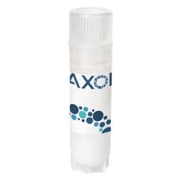 axoCells™ Human iPSC-derived Mature Microglia, Cryopreserved - Axol Bioscience - Life Sciences