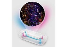 Brain-Chip R1 - Emulate - Drug Discovery & Development