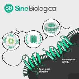 Multi-pass Transmembrane Protein Development Platforms - Sino Biological - Life Sciences
