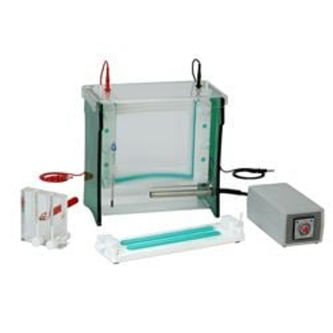 TV400-DGGE Denaturing Gradient Gel Electrophoresis System - Scie-Plas Ltd - Life Sciences
