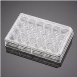 Corning® BioCoat™ Control Inserts with 8.0 µm PET Membrane in two 24-well Plates, 12/Pack, 24/Case - Corning Life Sciences - Life Sciences