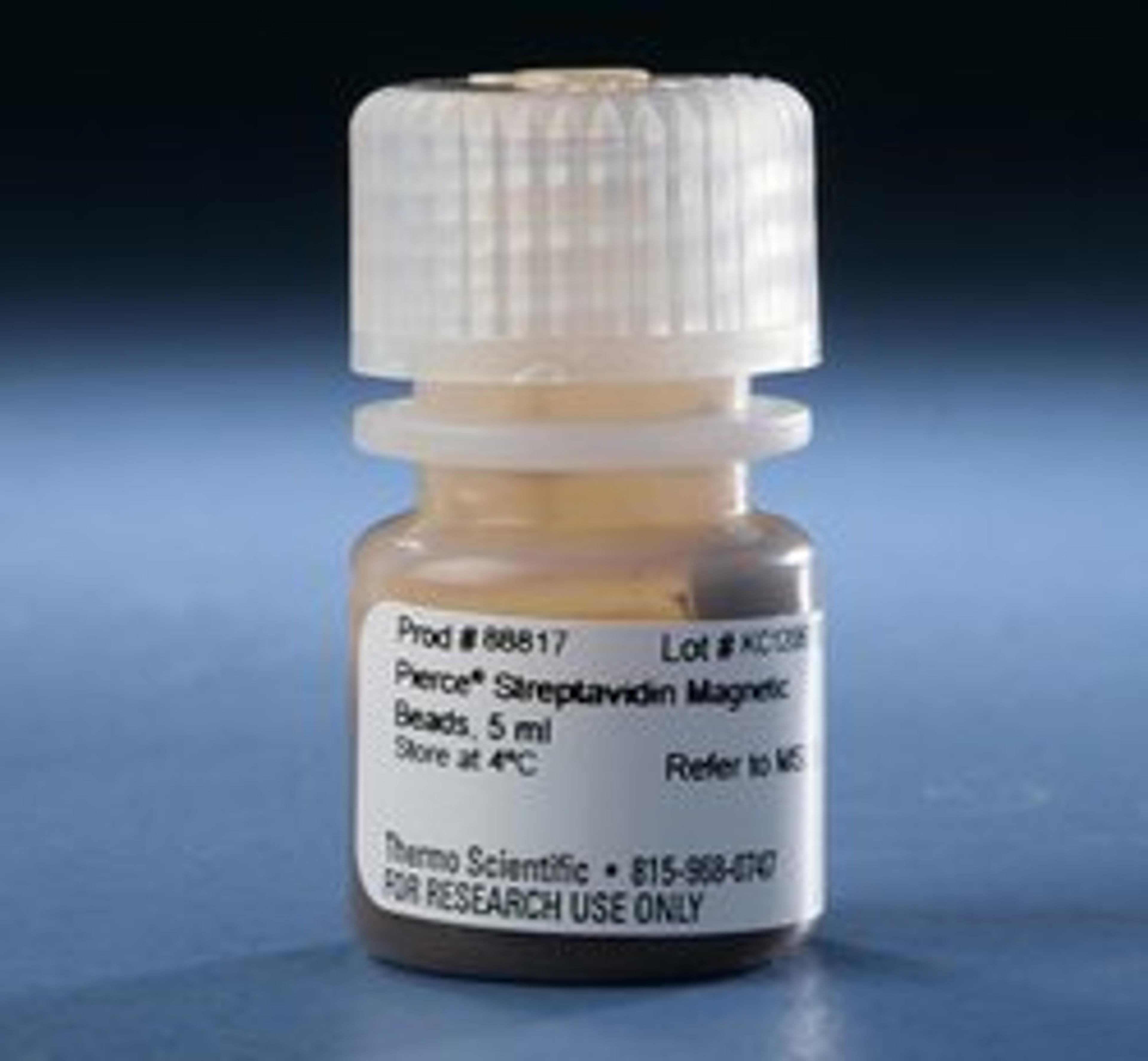 Thermo Scientific™ Pierce™ Streptavidin Magnetic Beads - Thermo Fisher Scientific - Life Sciences