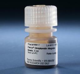 Thermo Scientific™ Pierce™ Streptavidin Magnetic Beads - Thermo Fisher Scientific - Life Sciences