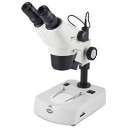 SMZ161 Series - Basic Stereo Microscope - Motic Europe - Life Sciences