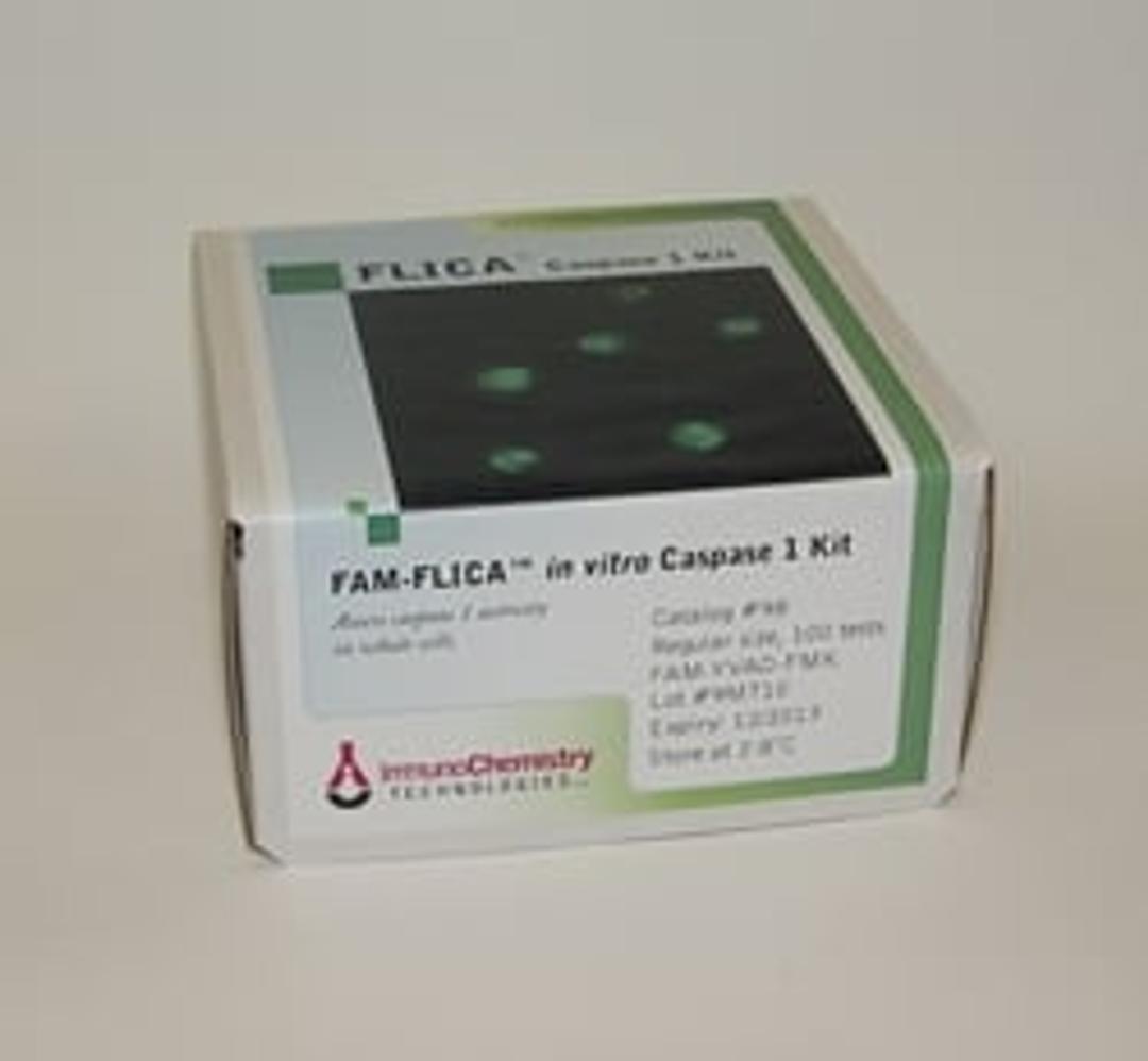 FAM FLICA® Caspase 1 Assay Kit - Immunochemistry Technologies LLC - Life Sciences