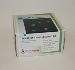 FAM FLICA® Caspase 1 Assay Kit - Immunochemistry Technologies LLC - Life Sciences