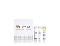 EasySep™ Mouse CD45 Positive Selection Kit - STEMCELL Technologies Inc. - Life Sciences