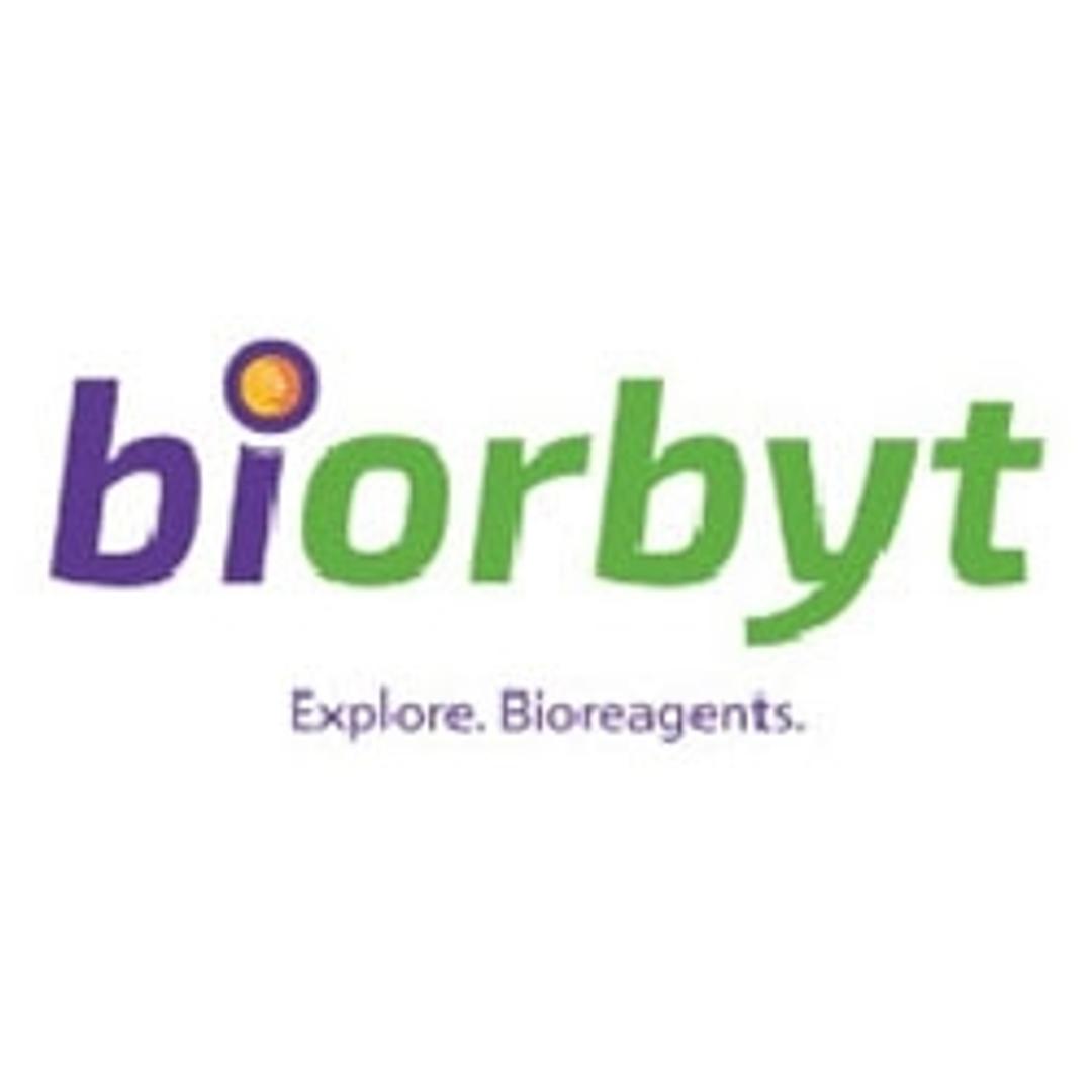 Biotin-dC-puromycin - Biorbyt - Life Sciences
