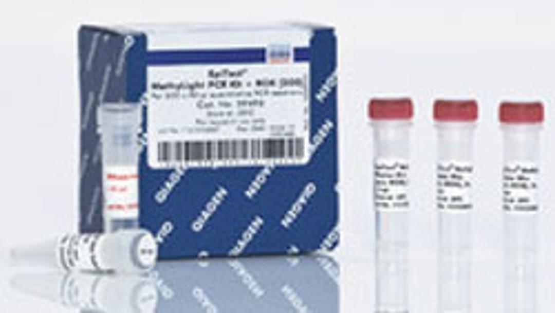 EpiTect MethyLight PCR +ROX Vial Kit (200) - QIAGEN