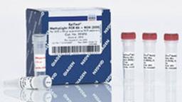 EpiTect MethyLight PCR +ROX Vial Kit (200) - QIAGEN