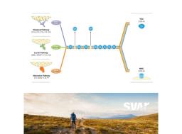 Wieslab® Complement Screen (RUO & IVD*) - Svar Life Science AB - Life Sciences