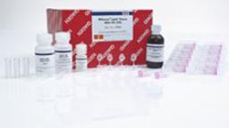 RNeasy Lipid Tissue Mini Kit (50) - QIAGEN