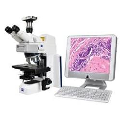 PathScope: Microscopy Work Station - SPOT Imaging Solutions A Division of Diagnostic Instruments, Inc. - Life Sciences