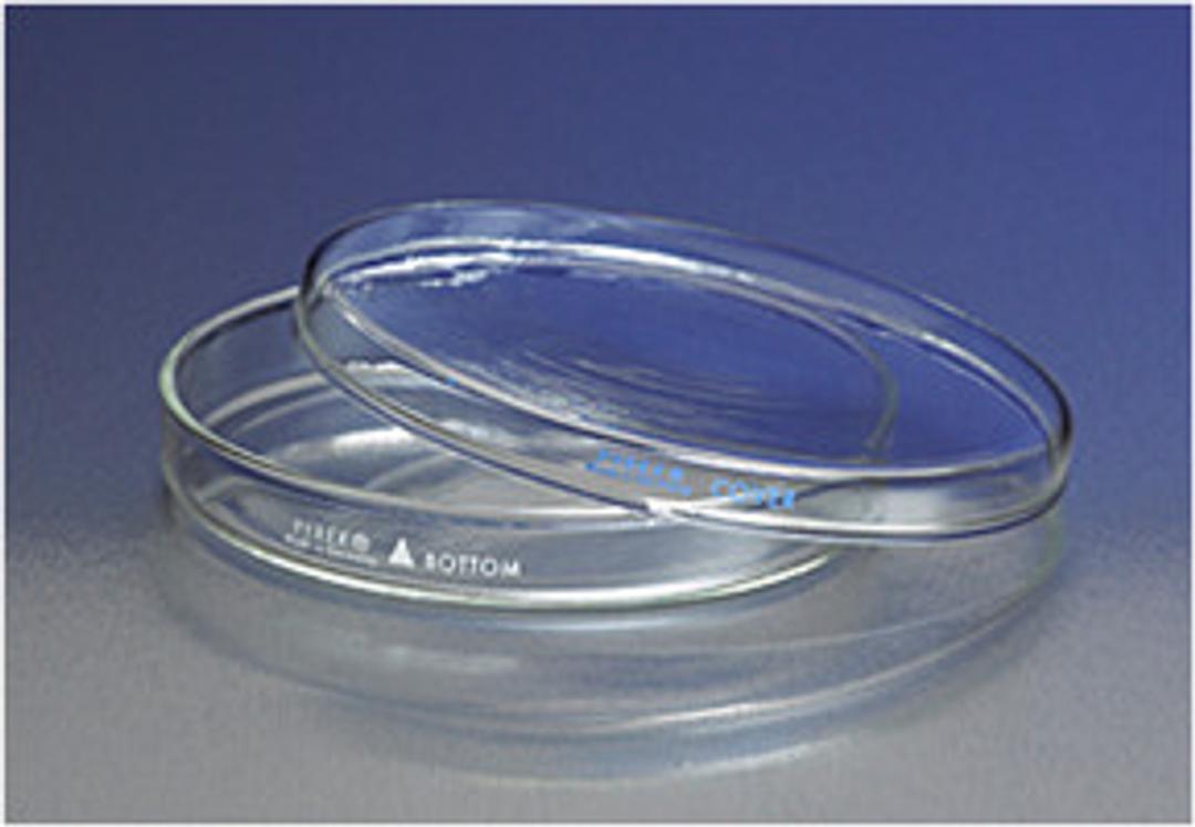 PYREX® 60x15 mm Petri Dish Cover Only - Corning Life Sciences - General Lab
