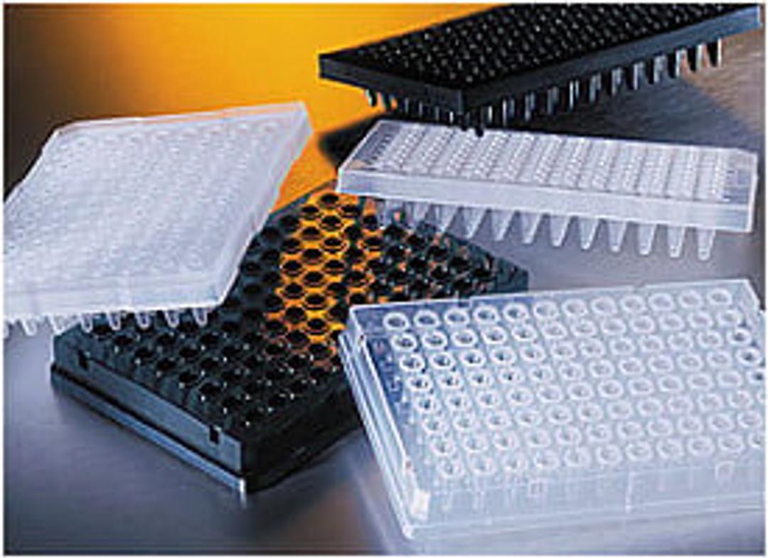 Corning® Thermowell™ GOLD 96-well Clear Polypropylene PCR Microplate, Half Skirt, Nonsterile - Corning Life Sciences - Life Sciences