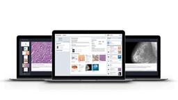 NAVIFY Tumor Board - null - Clinical Diagnostics