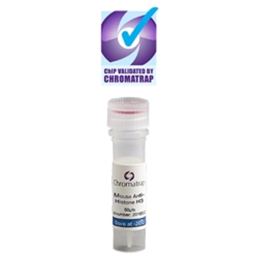 Chromatrap® ChIP Validated Antibodies - Chromatrap - Life Sciences