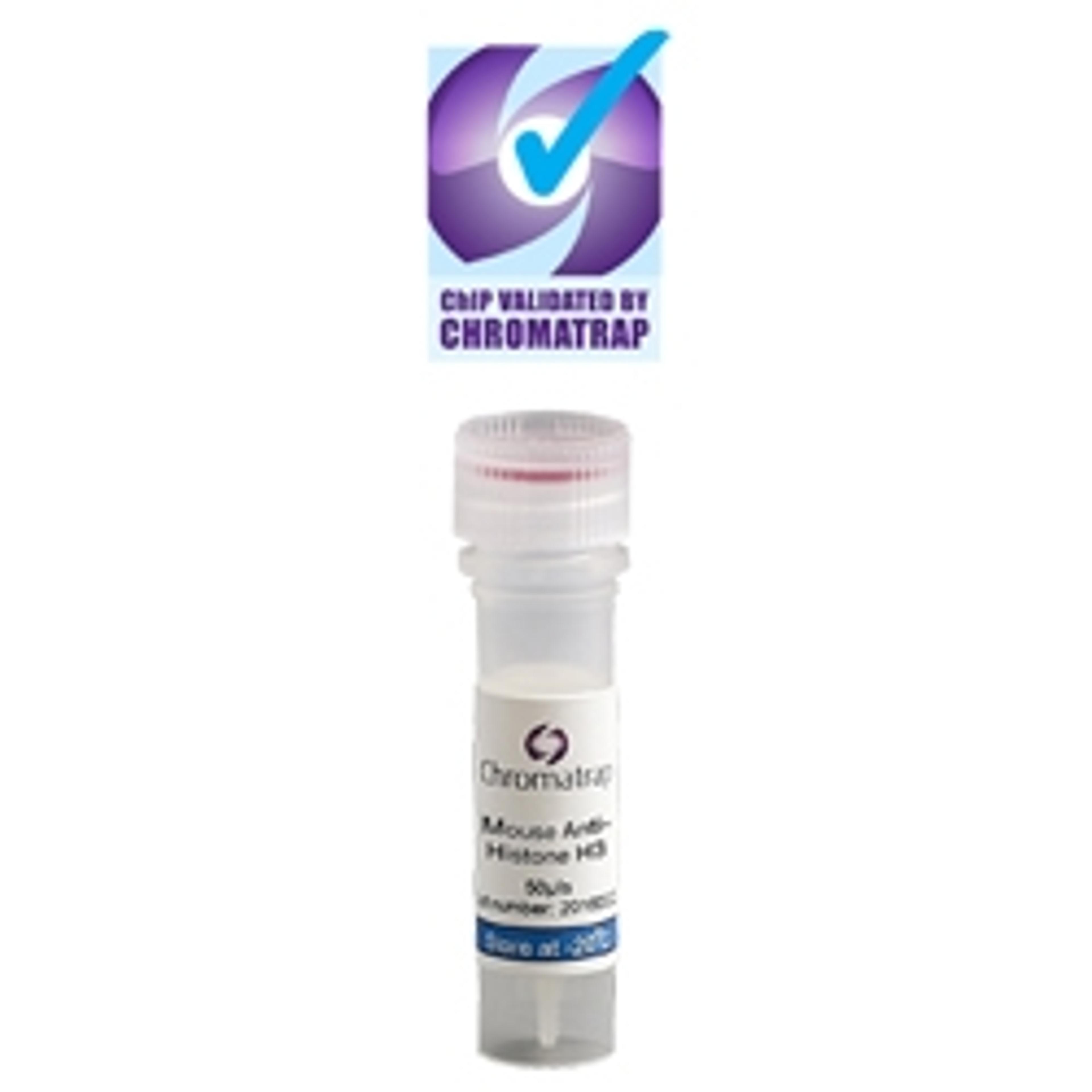 Chromatrap® ChIP Validated Antibodies - Chromatrap - Life Sciences