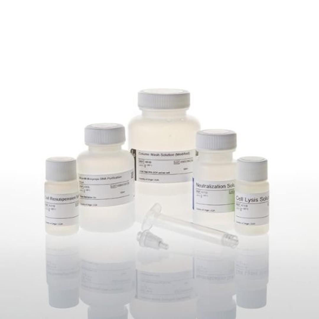 Wizard® Plus Minipreps DNA Purification Systems - Promega Corp. - Life Sciences