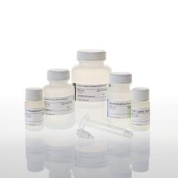 Wizard® Plus Minipreps DNA Purification Systems - Promega Corp. - Life Sciences