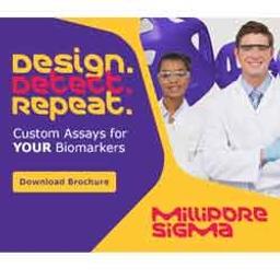 Custom Immunoassay Development Services - Merck - Clinical Diagnostics