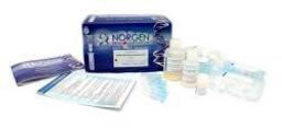 Total RNA Purification Kit - Norgen Biotek Corp. - Life Sciences