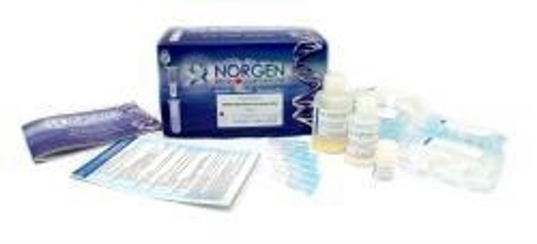 Total RNA Purification Kit - Norgen Biotek Corp. - Life Sciences