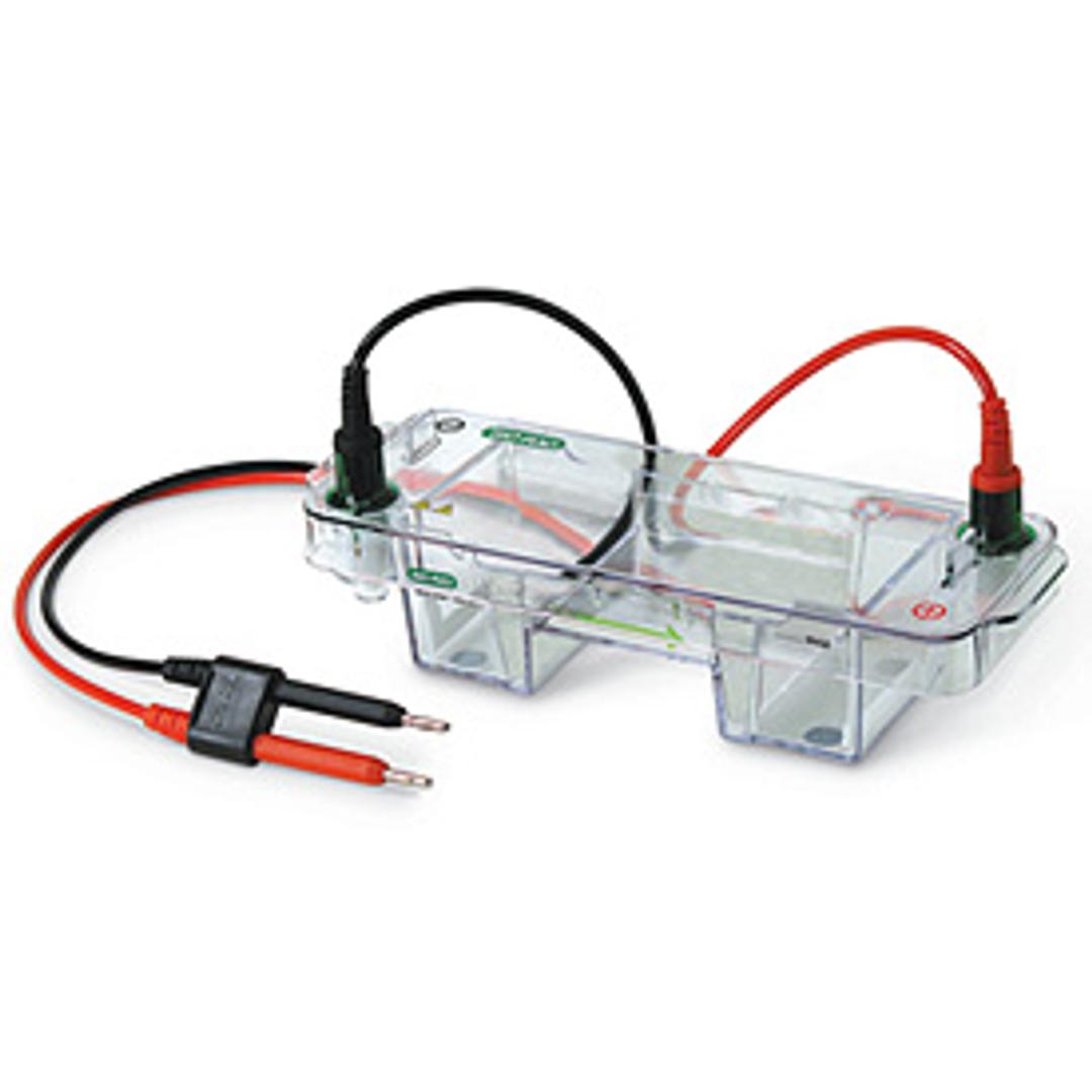 Mini ReadySub-Cell GT Horizontal Electrophoresis System - Bio-Rad - Life Sciences