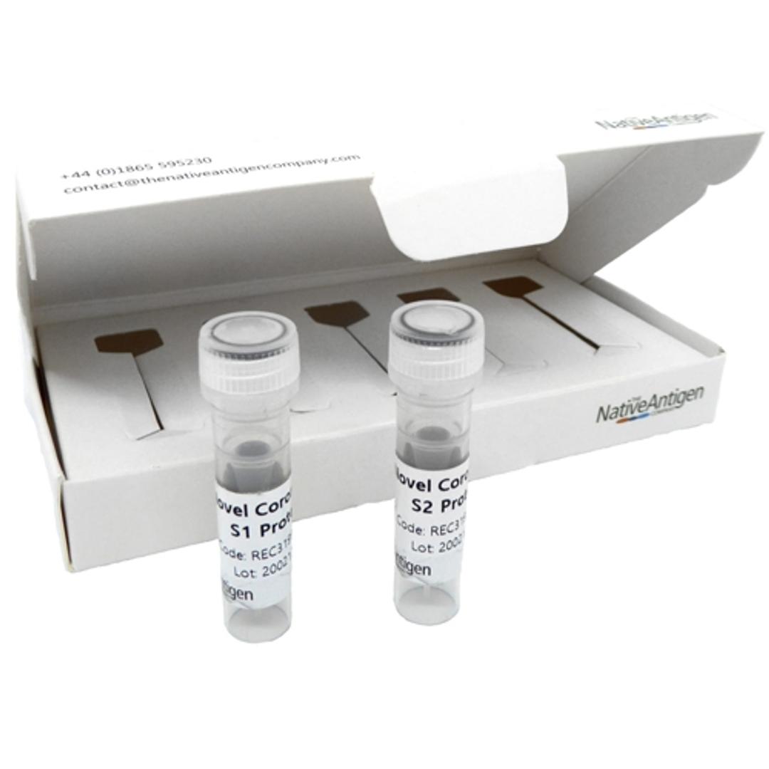 SARS-CoV-2 Spike Glycoprotein (S2), His-Tag (Insect Cells) - The Native Antigen Company - Life Sciences