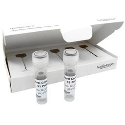 SARS-CoV-2 Spike Glycoprotein (S2), His-Tag (Insect Cells) - The Native Antigen Company - Life Sciences