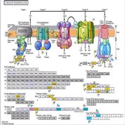 GeneSpring GX software - Agilent Technologies - Life Sciences