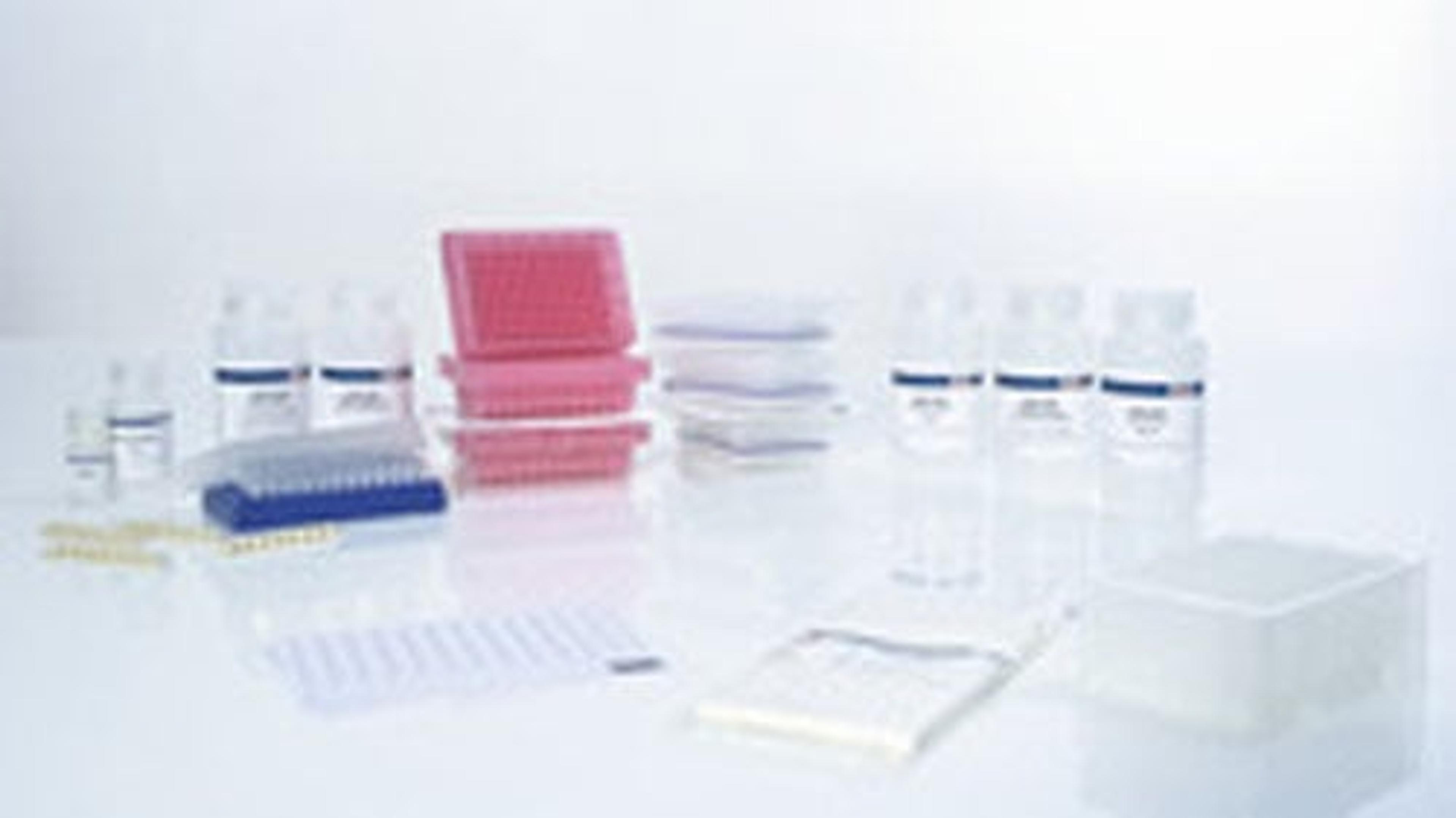 AllPrep DNA/RNA 96 Kit (4) - QIAGEN - Separations