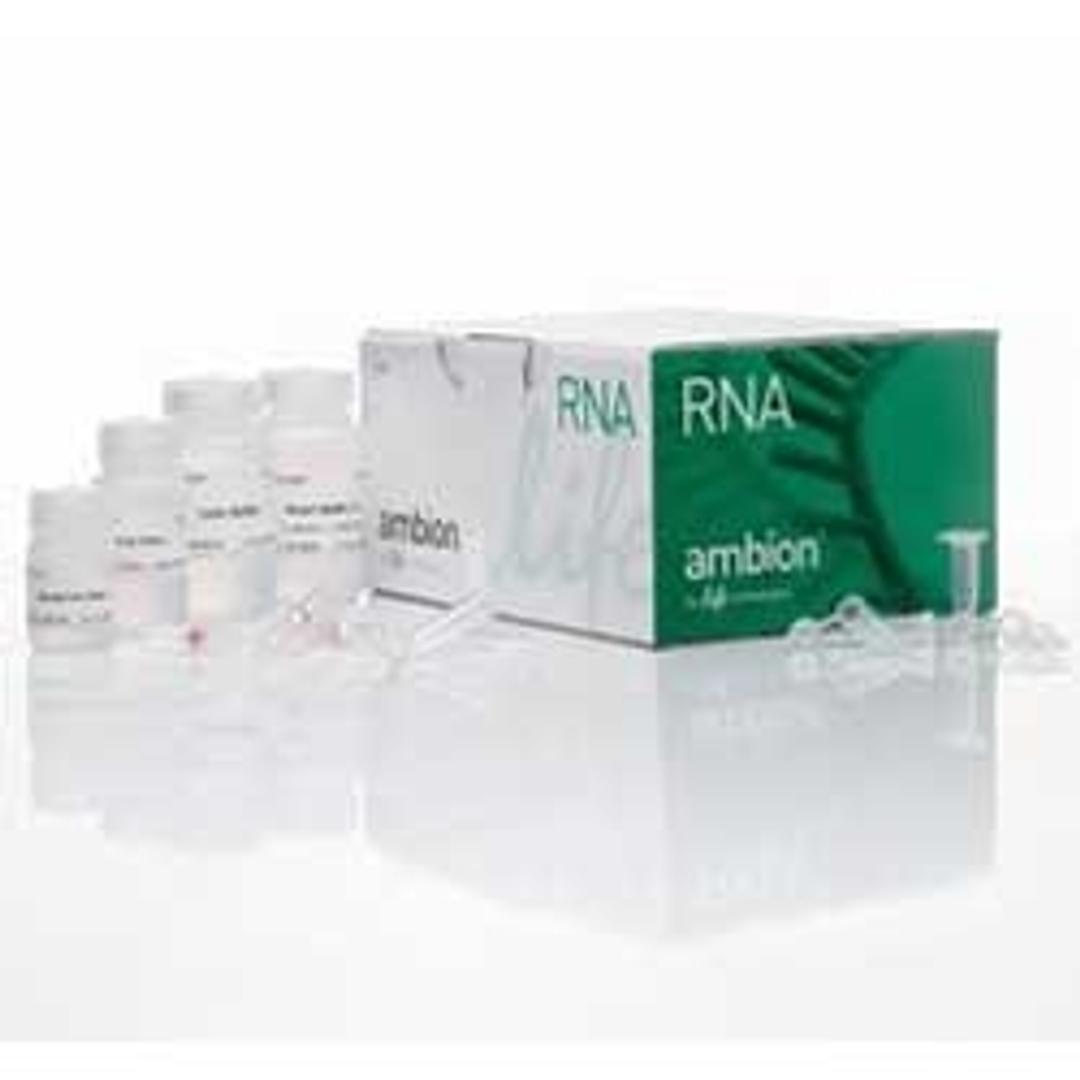 PureLink™ RNA Mini Kit - Thermo Fisher Scientific