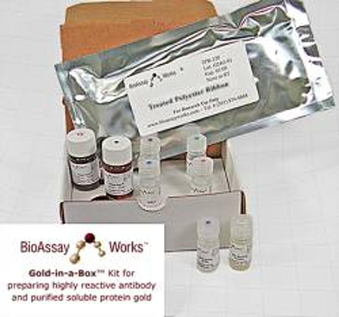 Gold in a Box - Preparing Reactive Antibodies and Purified Soluable Protein - BioAssay Works, LLC - Life Sciences