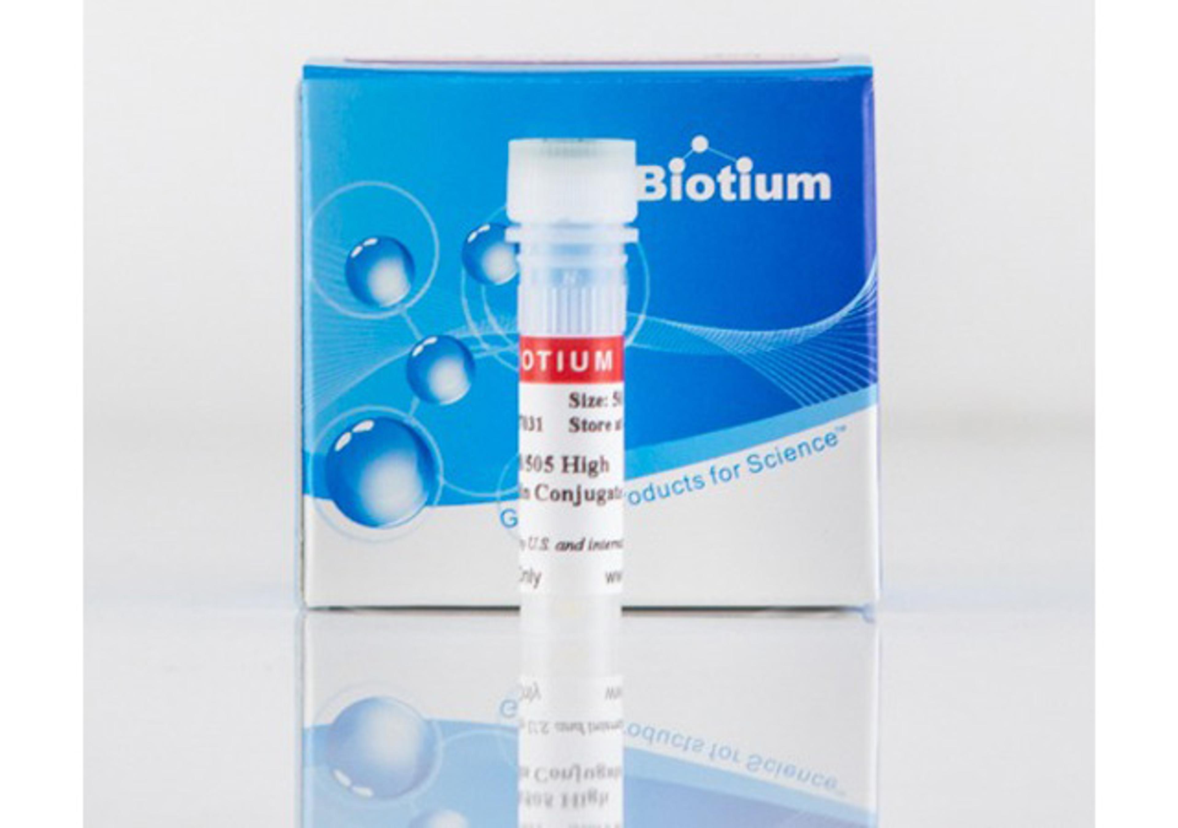 ActinBrite™ High Affinity Phalloidin Conjugates - Biotium - Life Sciences