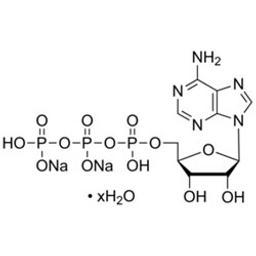 Adenosine 5′-triphosphate disodium salt hydrate - Merck KGaA, Darmstadt, Germany - Life Sciences