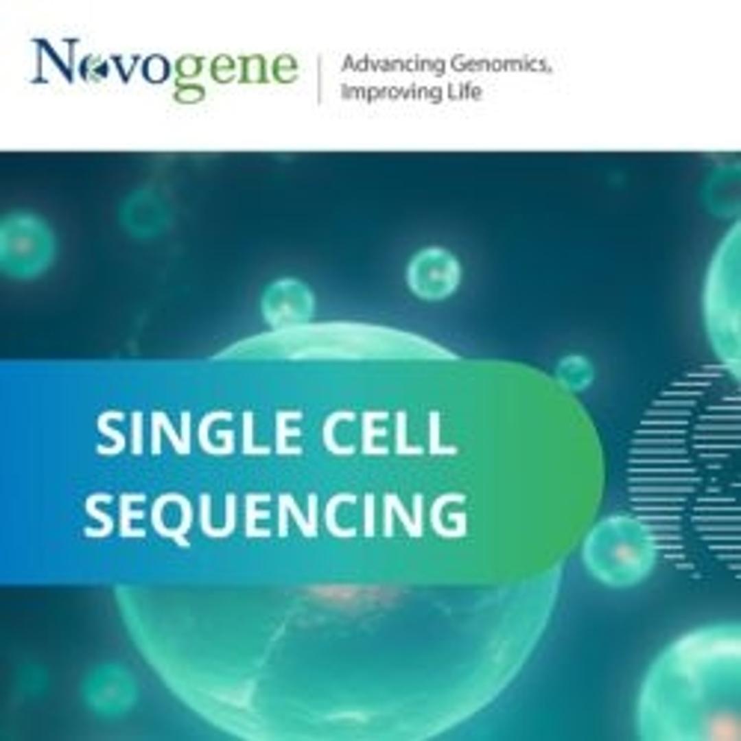 Single cell sequencing - Novogene - Life Sciences