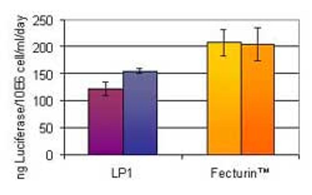 Fecturin™ A new transfection reagent for recombinant protein production in serum free synthetic media - Polyplus Transfection - Life Sciences