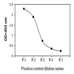 Human Phospho-H2AX (S139) and Total H2AX ELISA - RayBiotech Inc. - Life Sciences