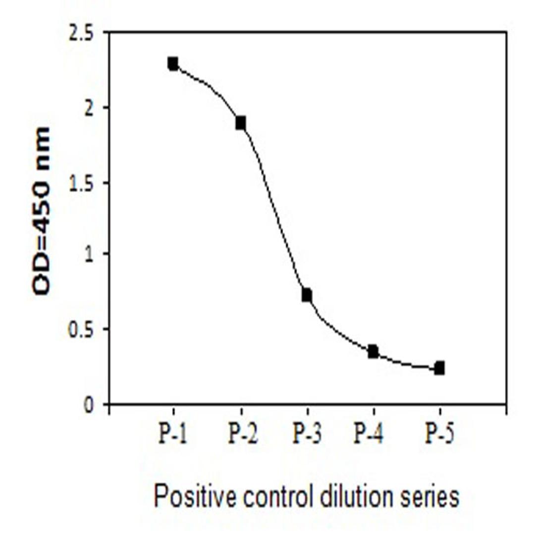 Human Phospho-H2AX (S139) and Total H2AX ELISA - RayBiotech Inc. - Life Sciences