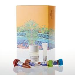 NanoBRET™ Target Engagement HDAC Assays - Promega Corp. - Life Sciences