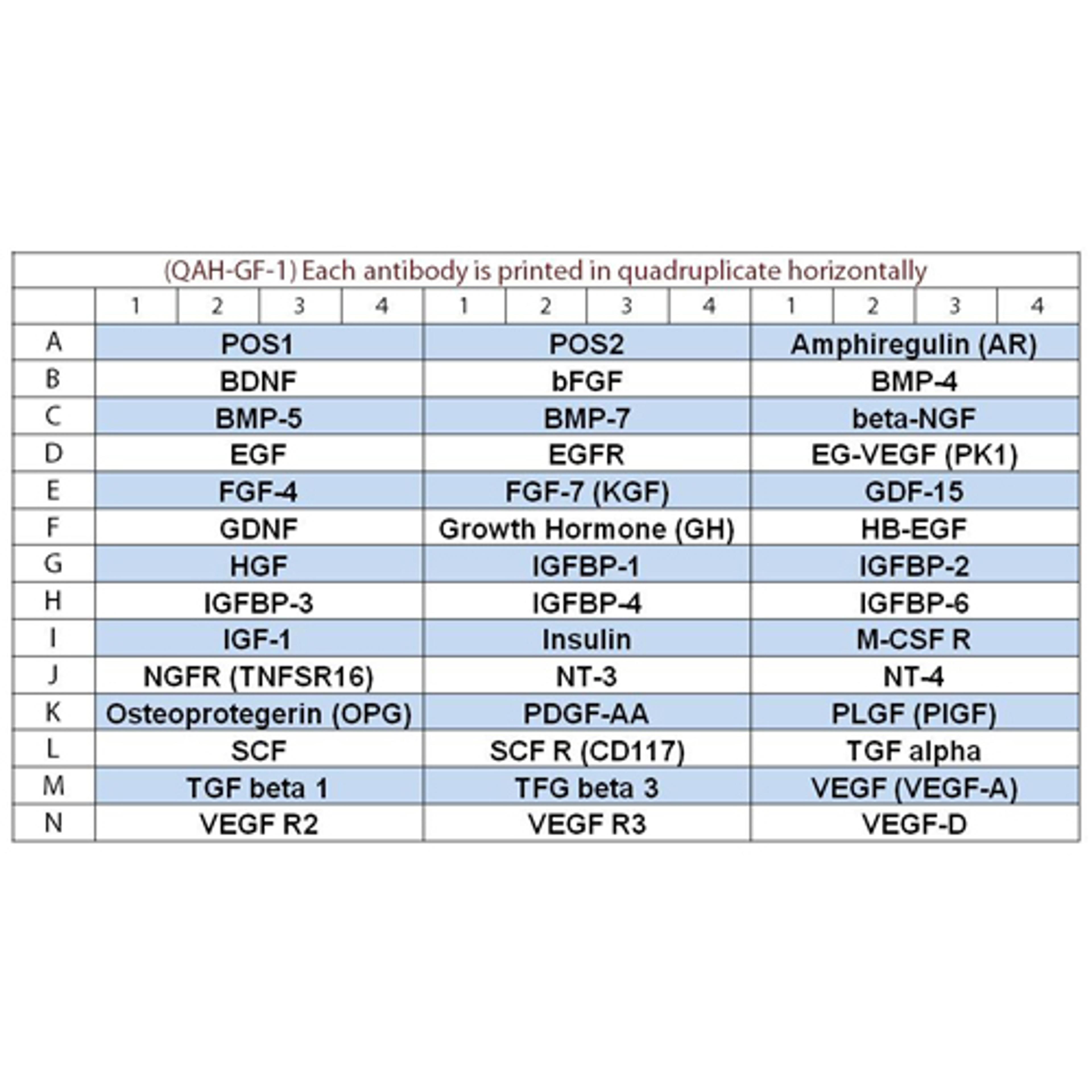 Human Growth Factor Array Q1 - RayBiotech Inc. - Life Sciences