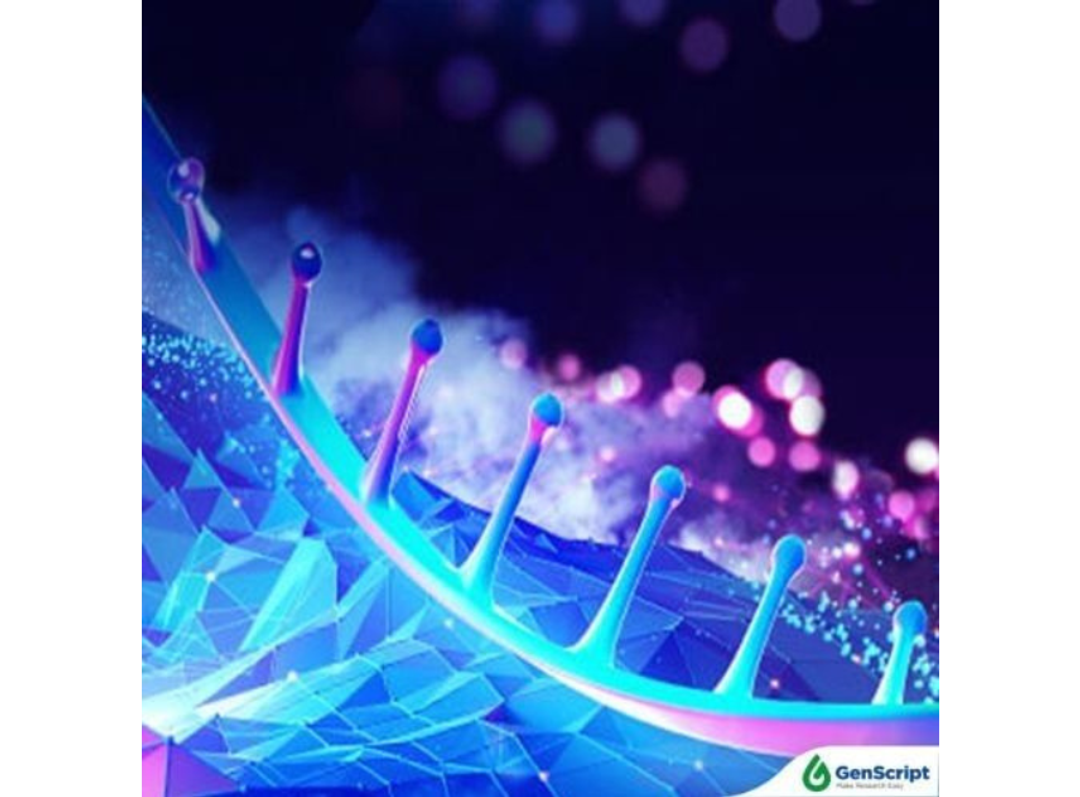 GenScript saRNA: Amplify Expression, Accelerate Discovery - GenScript - Life Sciences