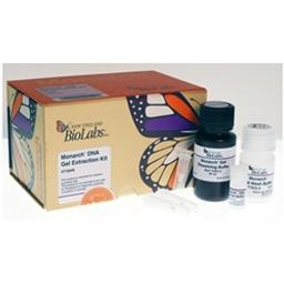 Monarch® DNA Gel Extraction Kit - New England Biolabs Inc. - Life Sciences