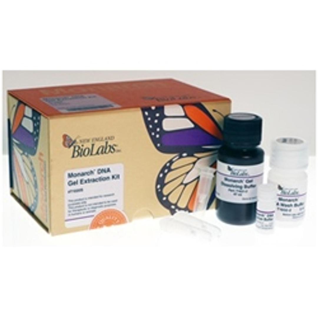 Monarch® DNA Gel Extraction Kit - New England Biolabs Inc. - Life Sciences
