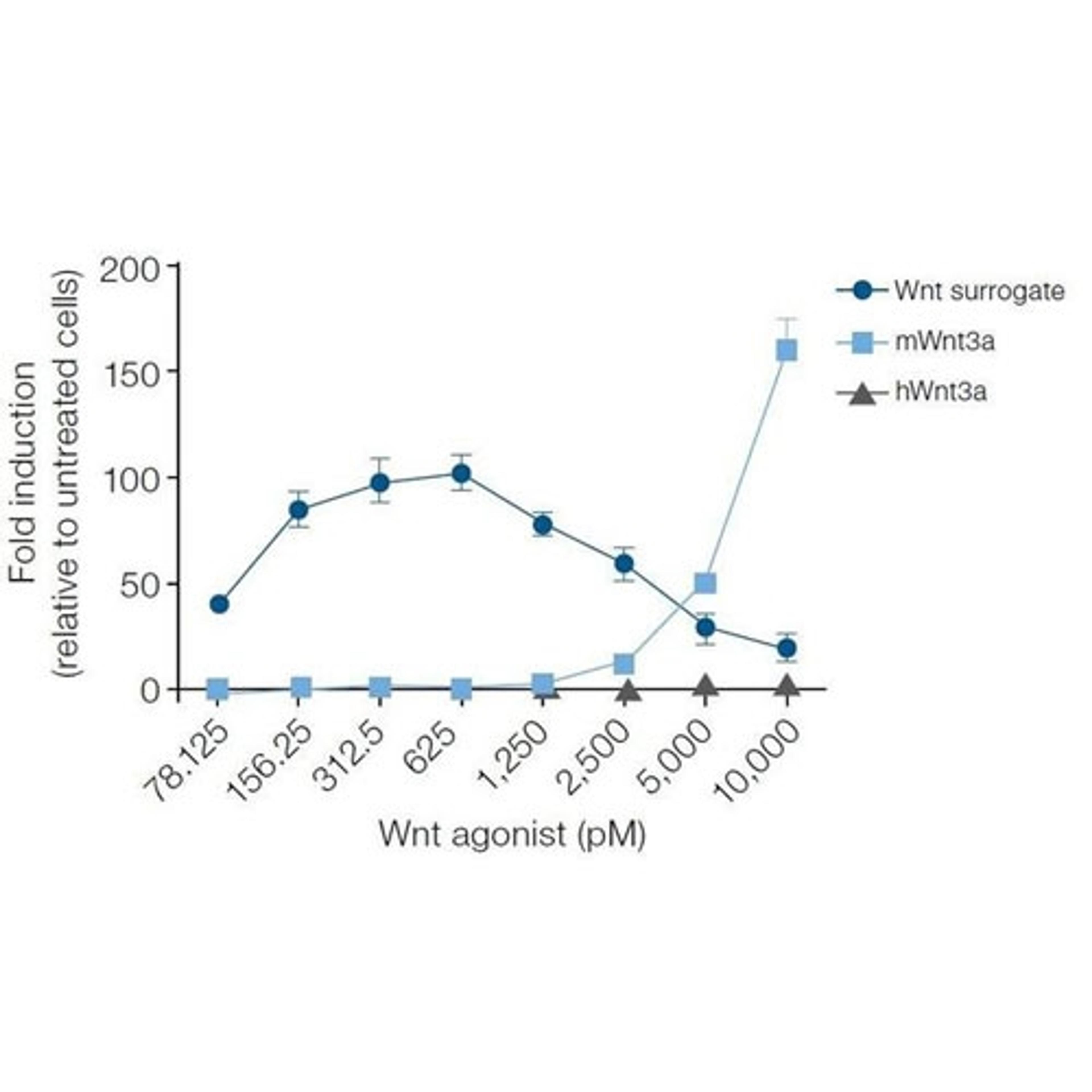 Gibco™ Wnt Surrogate-Fc Fusion Recombinant Protein - Thermo Fisher Scientific - Life Sciences