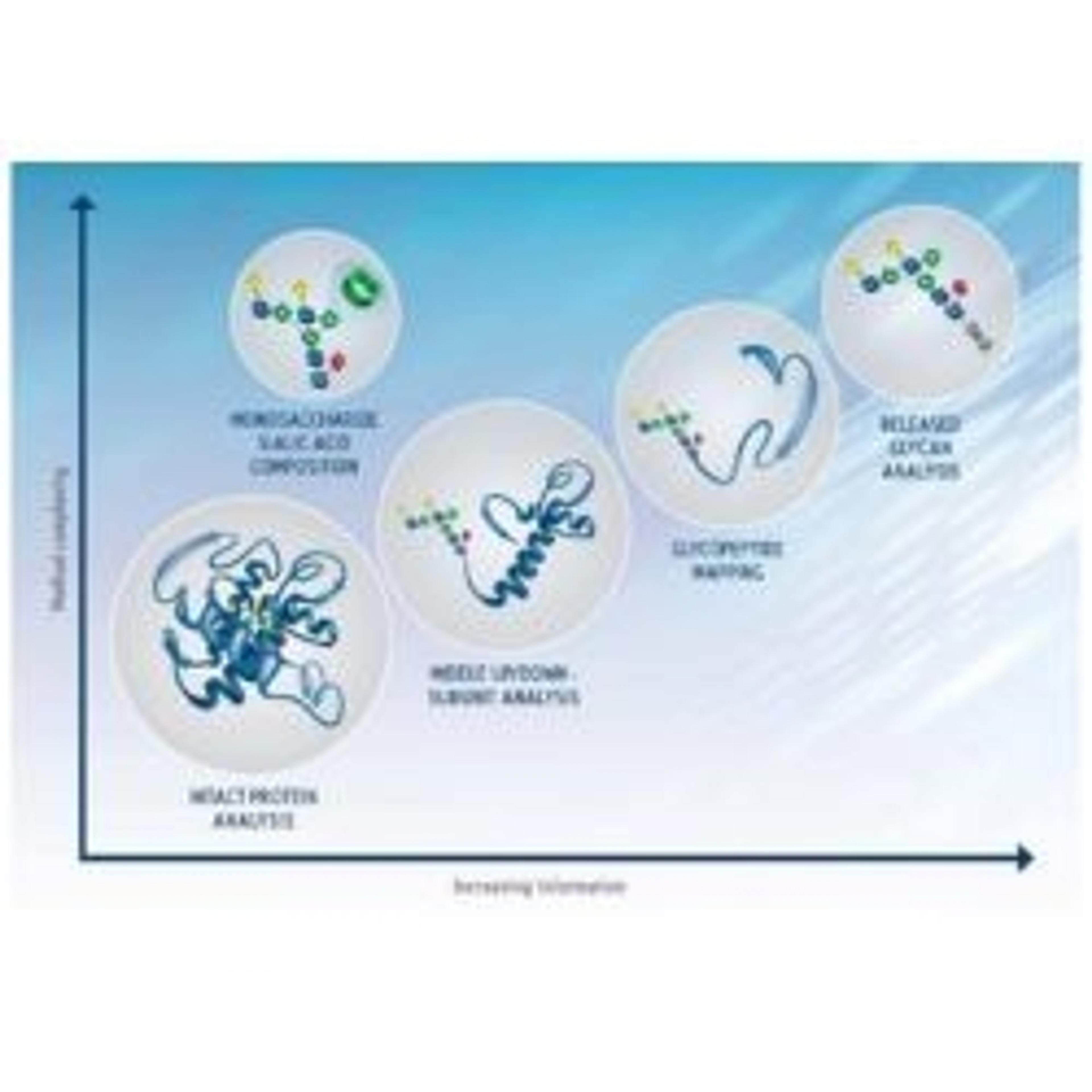 XBridge premier glycan BEH amide columns - Waters - Separations