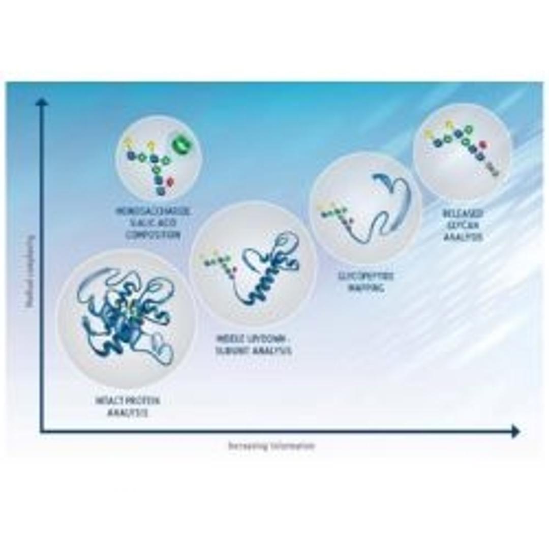 XBridge premier glycan BEH amide columns - Waters - Separations