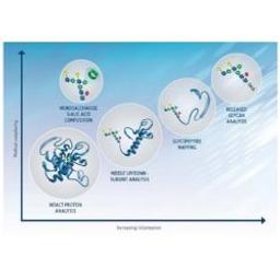 XBridge premier glycan BEH amide columns - Waters - Separations